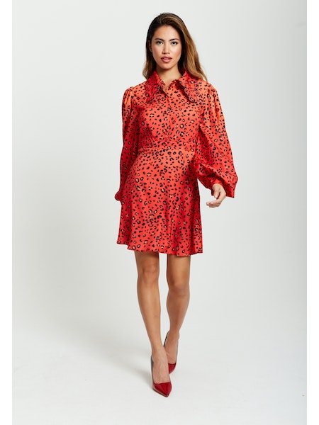 Liquorish Animal Print Mini Dress-Liquorish-Urbanheer