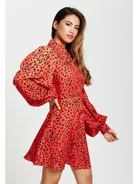 Liquorish Animal Print Mini Dress-Liquorish-Urbanheer