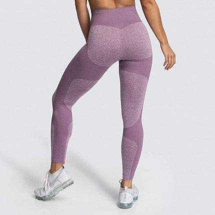 Yoga Pants Seamless Women Sports-Clothing - Women-UHXA-Light Purple-M-United States-Urbanheer